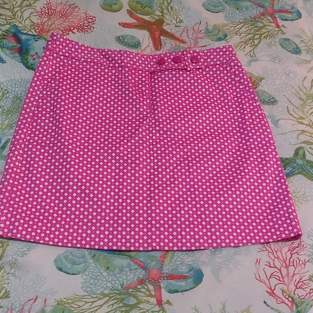 J.Crew skirt